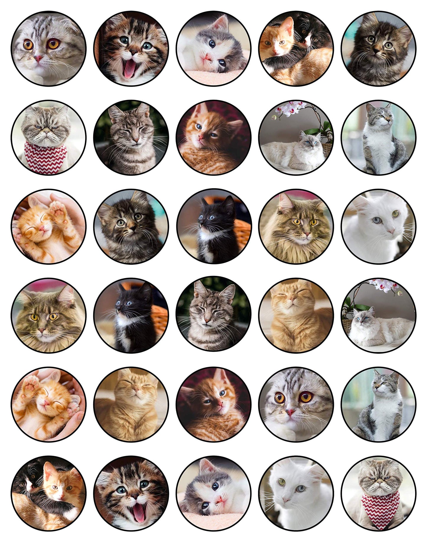 30x Wafer Paper Animal-Cats Edible Cupcake Topper