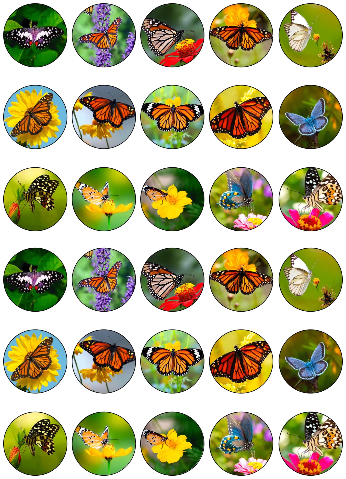 30x Wafer Paper Animal-Butterfly Edible Cupcake Topper